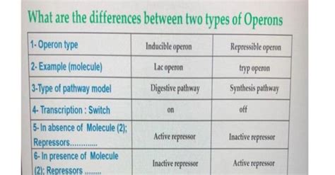 Solved examples of operons in bacteria 1-Inducible operon ( | Chegg.com