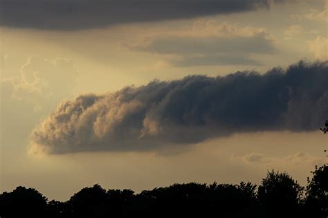 Gale's Photo and Birding Blog: Arcus Cloud