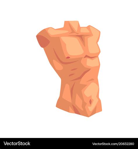 Torso male body part Royalty Free Vector Image