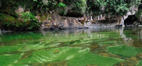 10 razones para viajar a la Reserva Natural Cañón Del Río Claro - Viajar por Colombia