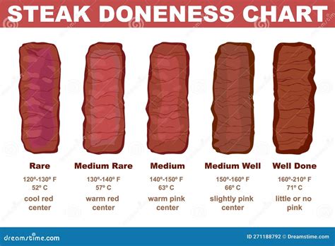 Steak Doneness Chart. Different Stages Of Beef Steak Roast. Delicious Restaurant Vector ...