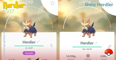 Shiny Herdier - Pokemon Go