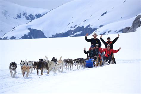 Juneau Day Tour; Dogsledding; Mendenhall Glacier; Helicopter Tour