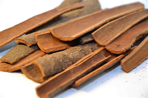 Free photo: Pieces of cinnamon bark - Aroma, Flavouring, Tree - Free ...