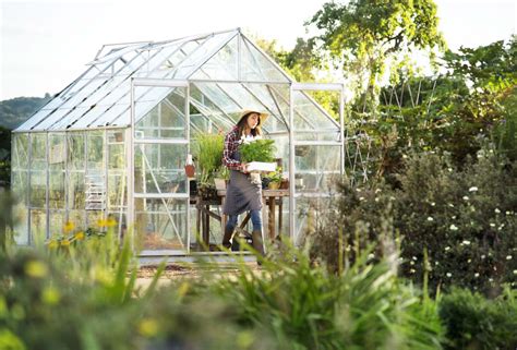 Greenhouse Growing For Beginners | Fasci Garden