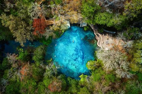 Tips for Ichetucknee Springs State Park: A Natural Lazy River in Florida - Florida Trippers