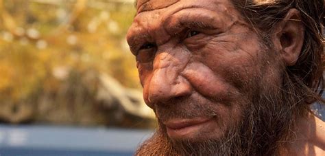 Who were the Neanderthals? | Natural History Museum