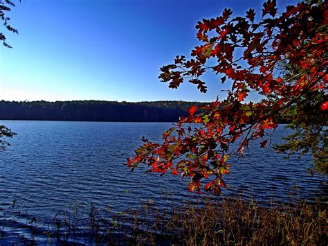 Badin Lake | Natural Atlas