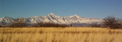 Huachuca Mountains and San Pedro River | Southeastern Arizona Bird Observatory