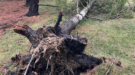 PHOTOS: Storm damage in Hilliard area | 10tv.com