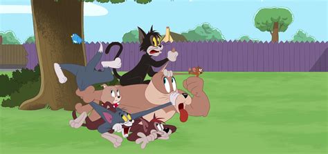 Indian Audiences Are Loving Tom And Jerry's New Localized Commentary ...