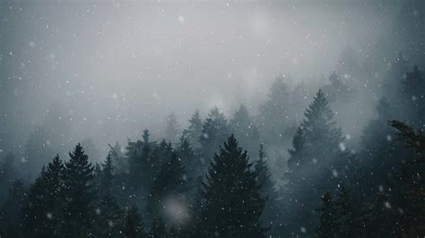 Winter Forest Snow Live Wallpaper - MoeWalls