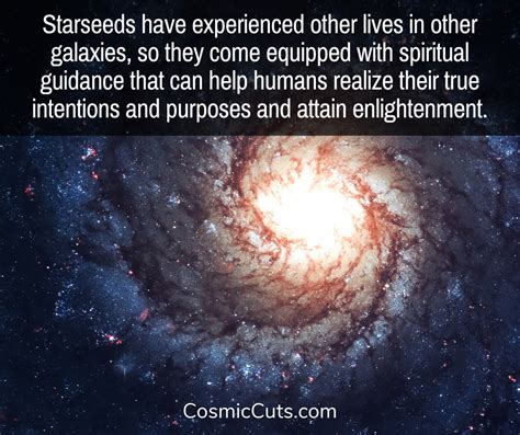 What starseed am i discover 19 types of starseeds – Artofit