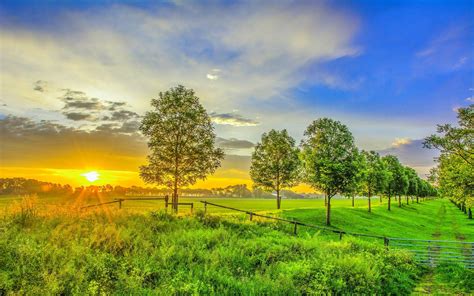 Green Sunrise Wallpapers - Top Free Green Sunrise Backgrounds - WallpaperAccess