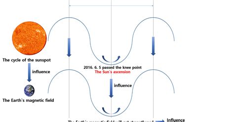 The Tree of Life in the Light: Change of the Earth’s magnetic field and human body