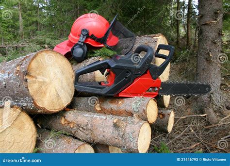 Logger Equipment with Cut Trees Stock Image - Image of chain, work: 21446793