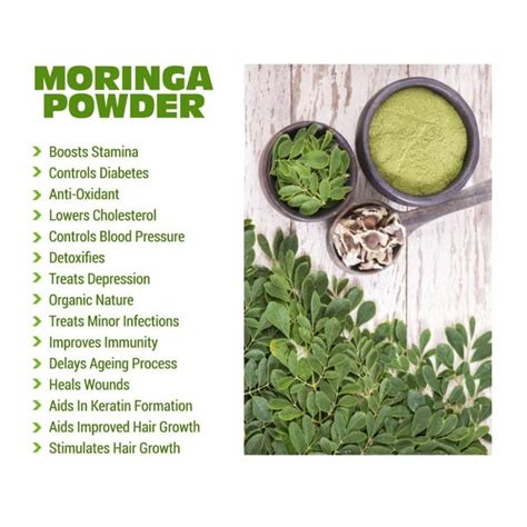 What Is Moringa? And The Basic Health Benefits