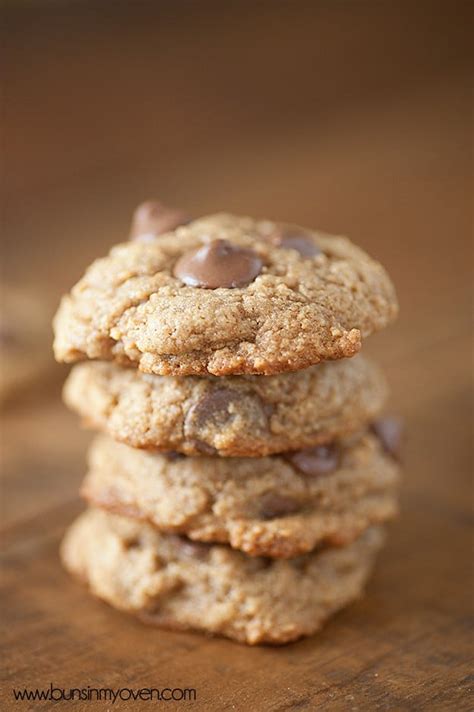 Chocolate Chip Graham Cracker Cookies | My Baking Addiction