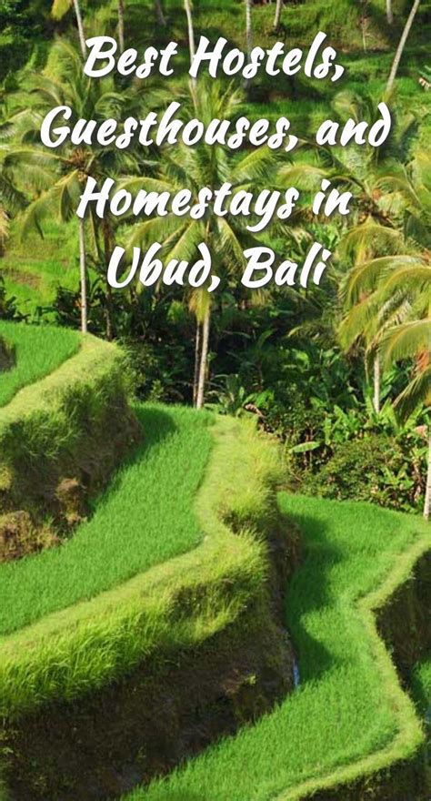 Best Hostels, Guesthouses, and Homestays in Ubud, Bali | Budget Your Trip | Ubud, Indonesia ...