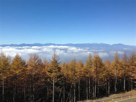 Mount Fuji Guided Climb, June to mid-October. 1-day trip. JMGA guide