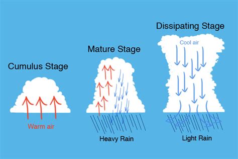 Thunderstorm 101 - Weather Wise