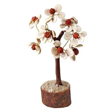 white Gomti Chakra Rudraksha Tree, For Home Decor at Rs 110/piece in ...