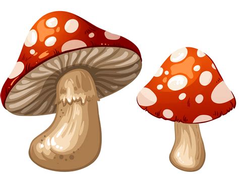 Mushrooms PNG Clip Art - Best WEB Clipart