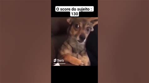 TODO MUNDO CONHECE ALGUÉM ASSIM 😑😂 #memes #memesgatos #dog #viral #cachorro #animaisengraçados ...