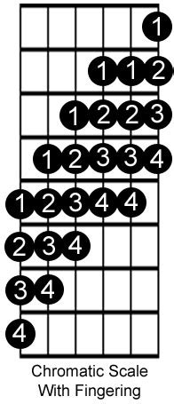 chromatic scale chart for guitar Chromatic fretboard fret string