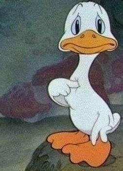 Create meme "Sad duck " - Pictures - Meme-arsenal.com