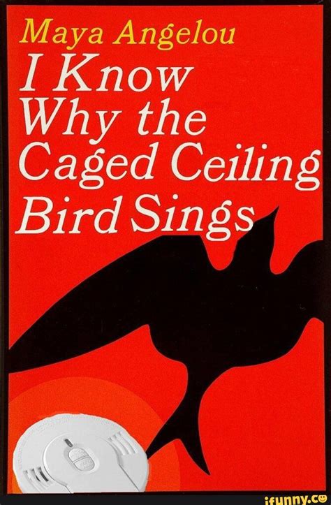 Maya Angelou Know Why the Caged Ceiling Bird Sin - iFunny