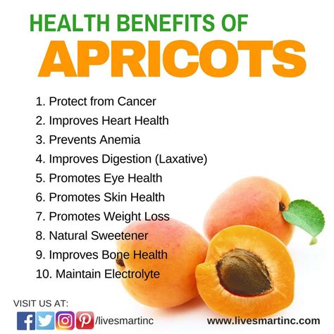 Health Benefits of Apricot – Health Living Advocate