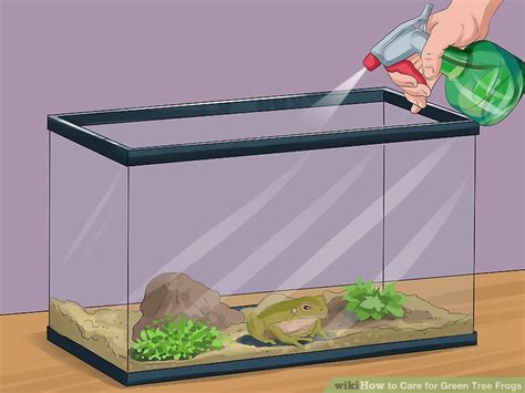 3 Ways to Care for Green Tree Frogs - wikiHow