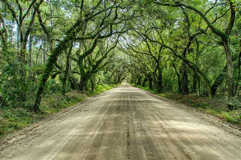 Best Things to Do in Edisto Island SC Besides Going to the Beach — Cosmos Mariners: Destination ...