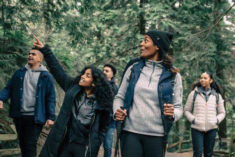 People Hiking in a Forest · Free Stock Photo