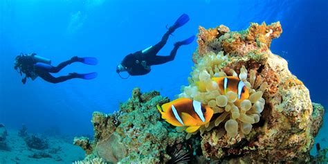 $85 – Coral Reef Scuba Diving w/Gear & Transportation | Travelzoo