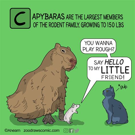 This Artist Illustrates Unusual Animal Facts In Funny Comics (10 Pics ...