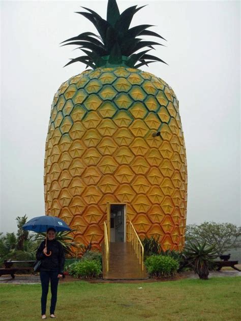 Pineapple | Unique architecture, Unusual buildings, Pineapple