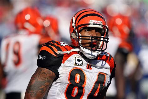 Ex estrella de los Bengals pide orden de restricción contra una fan que ...