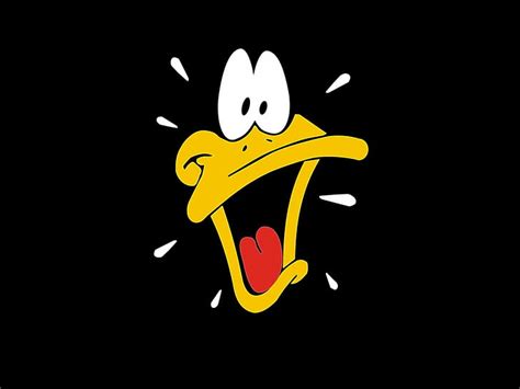 HD wallpaper: cartoons, daffy duck, funny | Wallpaper Flare