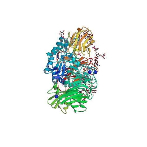 Beta-galactosidase Enzyme Donor - Molecular Depot