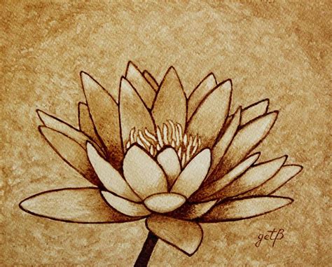 Coffee Painting Water Lilly Blooming Painting by Georgeta Blanaru