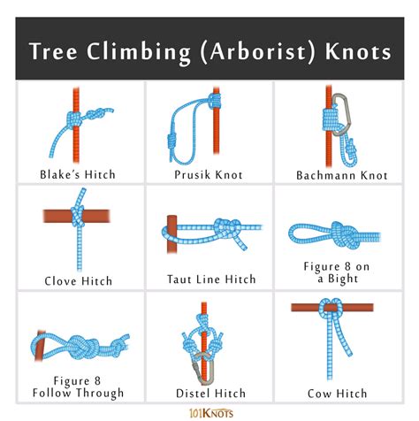 Rock and Tree Climbing Knots: Basic Guide with List