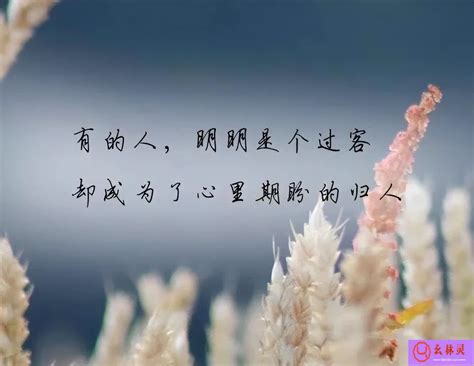 友谊不散的古风句子（15句表达真挚友情的诗句） | 幺林灵（100）