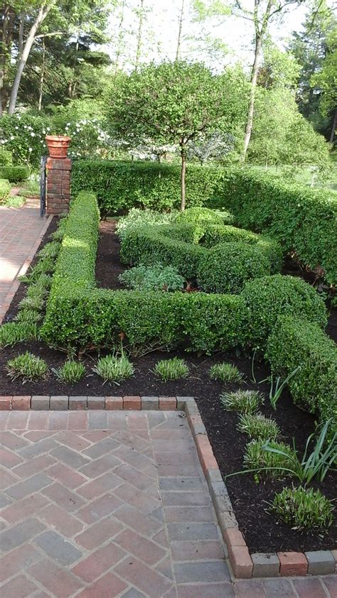 Formal English Garden - Hedges of Boxwoods and Burning bushes frame ...