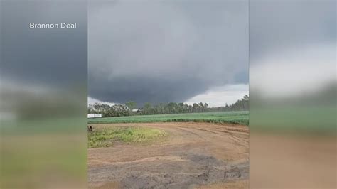 Video of large tornado in Allendale County, South Carolina | wltx.com