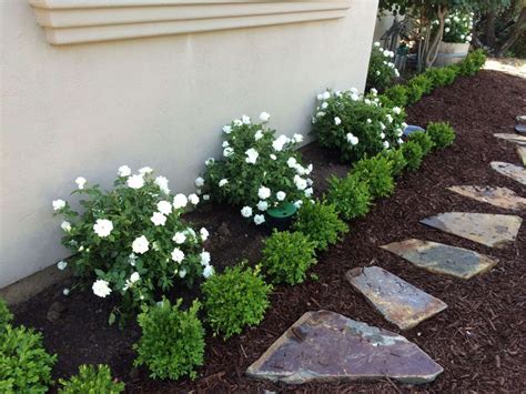 Fantastic Gardenia Landscaping Ideas and Red Roses And Boxwoods Front ...