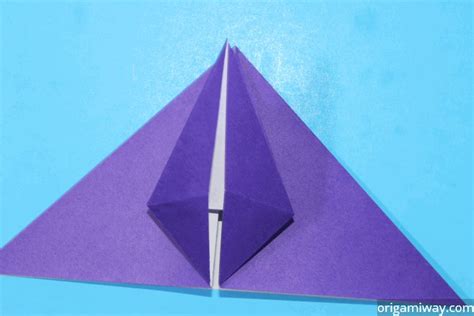 Origami Petal Fold Instructions