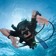 Daytona Beach, Fl scuba and snorkeling adventures | Scuba diving, Scuba diving courses, Scuba ...