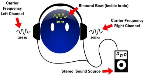 neuroscience - How can binaural beats change mental state? - Biology ...